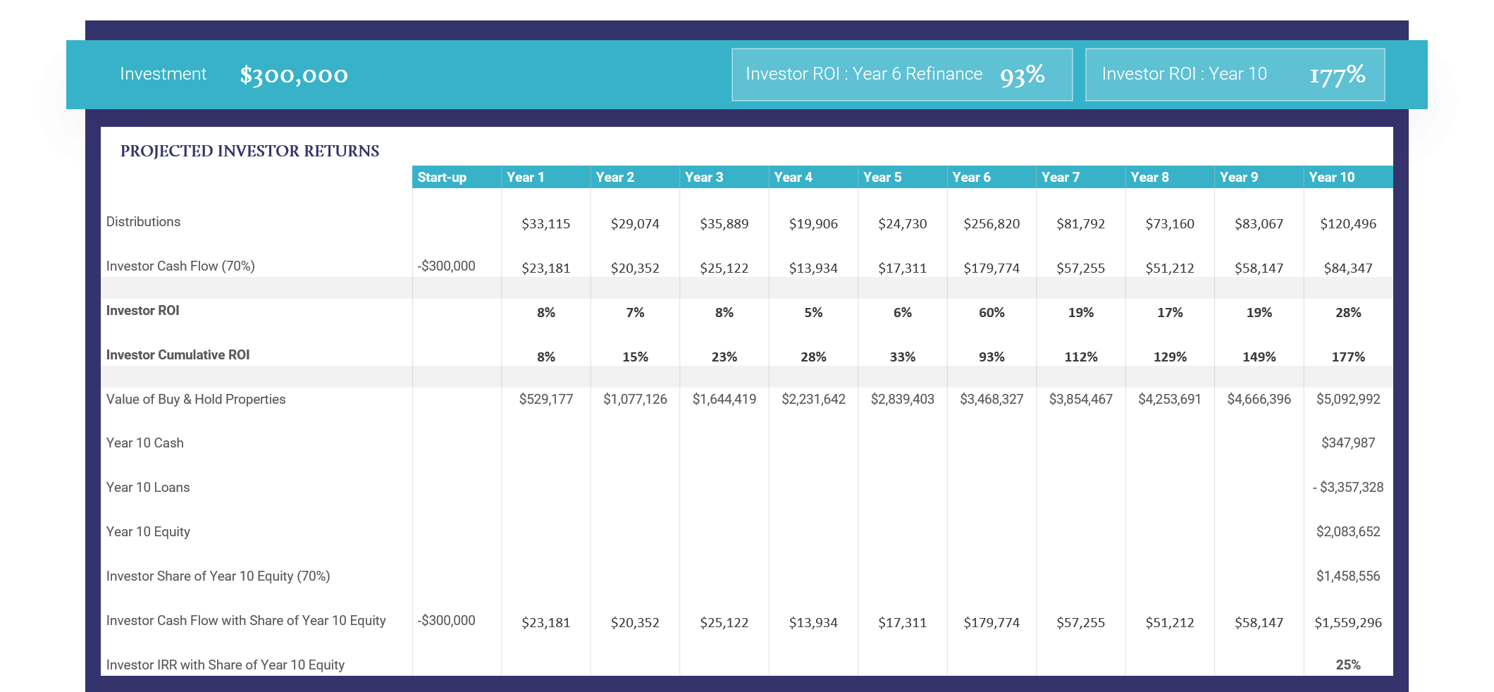 Project Investor Returns